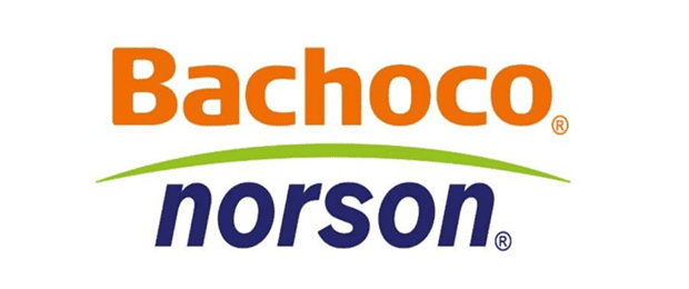 NORSON(BACHOCO)